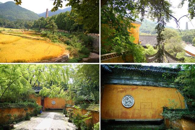天台國清寺：農禪共存共榮的聖地