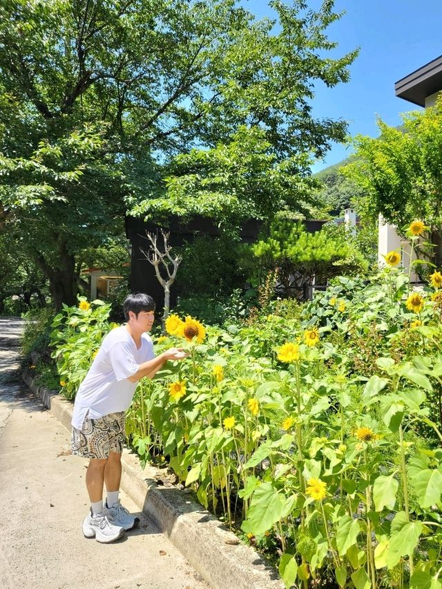 하동에서 즐기는 시원한 한끼