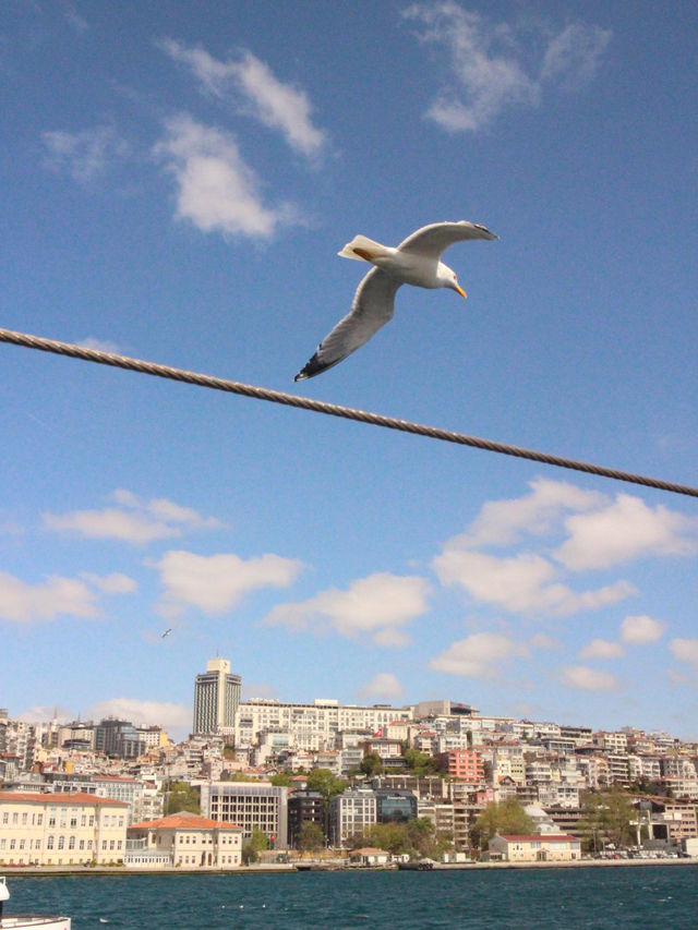 A Postcard I Stepped Into - Türkiye ♥️ 