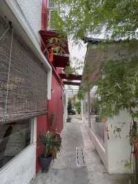 Maotai Tiramisu & Stepping into Old-World China at Xuan Café