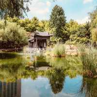Solo Serenity at Wolhwawon Garden: Seoul’s Secret Chinese Oasis** 🌸🏯  