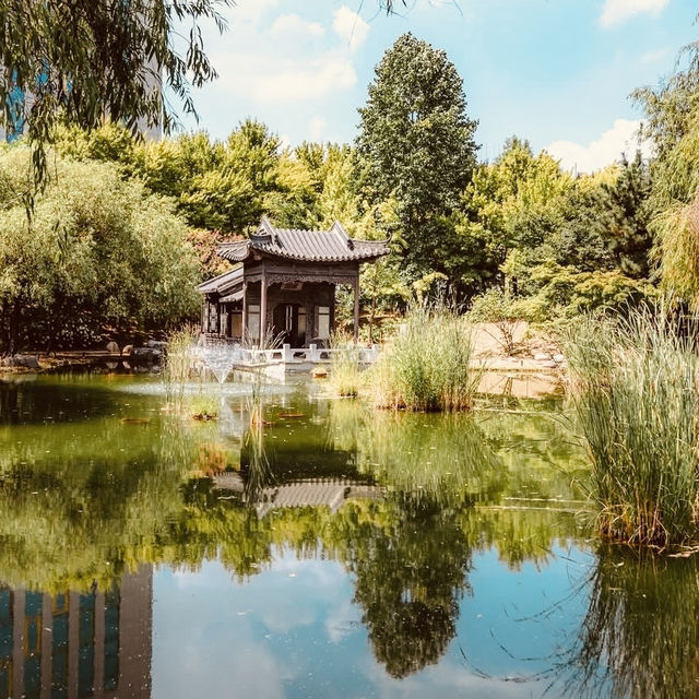 Solo Serenity at Wolhwawon Garden: Seoul’s Secret Chinese Oasis** 🌸🏯  
