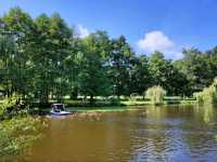 Forest Feels & Cat Surprises at Zelenogradsk City Park