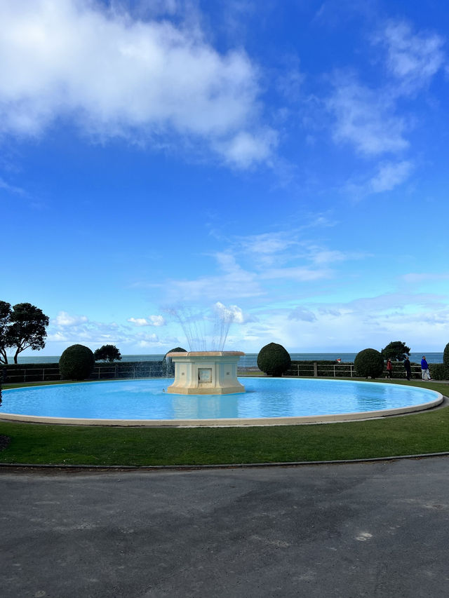 🏝 Marine Parade Viewing Platform ｜Napier 海濱平台漫步與海浪對話