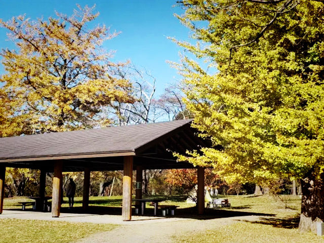 仙台🇯🇵三神峰公園