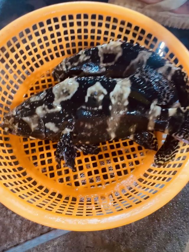 🏖️ 美奈Mui Ne：避開人潮，獨享南越海邊的靜謐時光！🤫