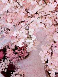 🌸 Spring Bloom Alert in Beijing! Giant Cherry Blossom Wonderland at Lize Paradise Walk 🌸