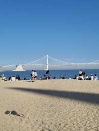 부산 바다 여행 가이드 모음집🌊🐳
