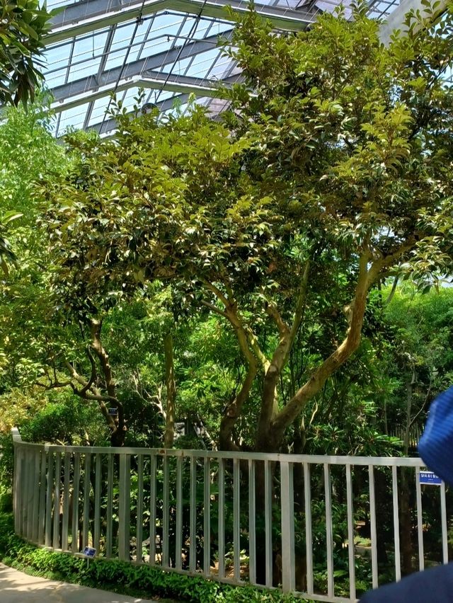 🌿 진주수목원, 실내외에서 자연을 온몸으로!
