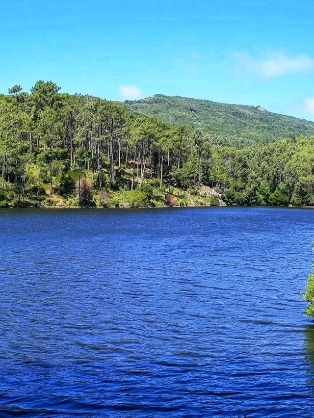 🌿 Sintra-Cascais Natural Park: Portugal’s Spellbinding Union of Forest and Sea 🏞️