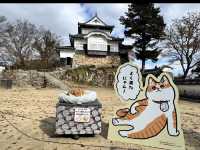 🏯【備中松山城】雲海に浮かぶ天空の城で絶景と歴史に出会う旅