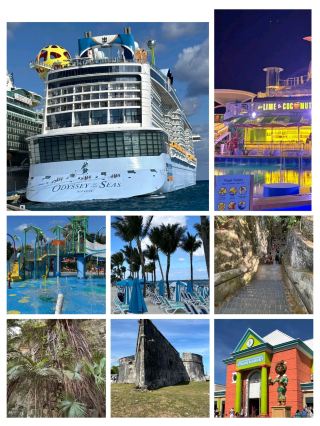#cruiseholiday.
🛳️🌴 Odyssey of the Seas Cruise – Nassau Adventure

If you're cruising with Royal Caribbean’s Odyssey of the Seas, your stop at Nassau, Bahamas is packed with sun, sea, and smiles!

📍 Port of Call: Nassau, Bahamas
🕒 Stop Duration: Around 8–10 hours (depends on itinerary)

🌟 Top Highlights in Nassau:

🏖️ Cable Beach – Gorgeous turquoise waters, perfect for sunbathing or a swim

🐬 Blue Lagoon Island – Great for dolphin encounters and family fun

🏰 Queen’s Staircase & Fort Fincastle – A peek into history

🍤 Local Delights – Conch salad, fried fish, and refreshing coconut drinks

🛍️ Straw Market – Souvenir heaven with handmade Bahamian crafts


🚢 Odyssey Onboard Fun:

🌌 North Star viewing pod – Aerial ocean views

🤸 RipCord by iFLY – Skydiving simulator at sea

🏓 SeaPlex – Bumper cars, arcade, and more

🍽️ Diverse dining – From sushi to steak to street food


💡 Tips:

Book shore excursions early – they fill up fast!

Bring sunscreen, water shoes, and light clothes

Don't miss the Bahama Mama cocktail 🌺


#OdysseyoftheSeas #NassauBahamas #CruiseLife #RoyalCaribbean #OceanAdventure #CaribbeanCruise #FamilyTravel #BeachVibes #ExploreNassau#staycation #travel #beachlife #couplestrip #naturalwonders #poolhotel #myitinerary 

