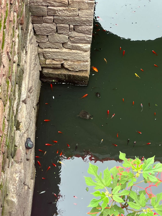 Serenity at Xiangshan Temple, Henan