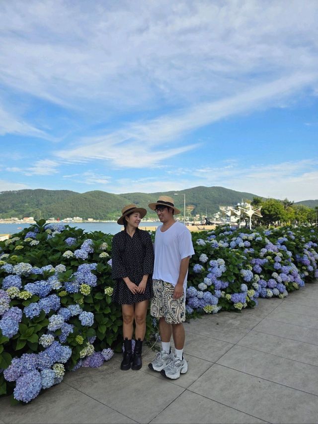 올여름 역대급 수국파티가 열렸던 거제여행지💜 올여름 역대급 수국파티가 열렸던 거제여행지💜
