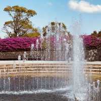 🕊️ Nagasaki Peace Park: A Solemn Tribute to Resilience and Hope