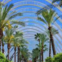 Sun, Citrus, and Gothic Grandeur – My MSC Splendida Stop in Valencia, Spain