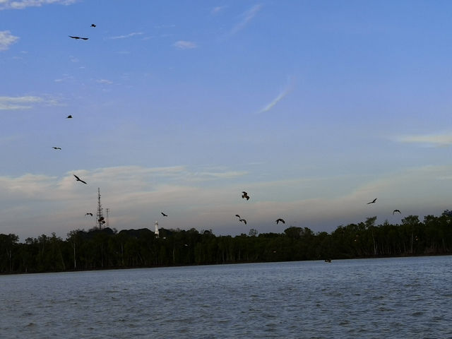 The Dive of the Sky Tyrants: On the Selangor River, Summoning a Raptor Storm with Chicken Skin