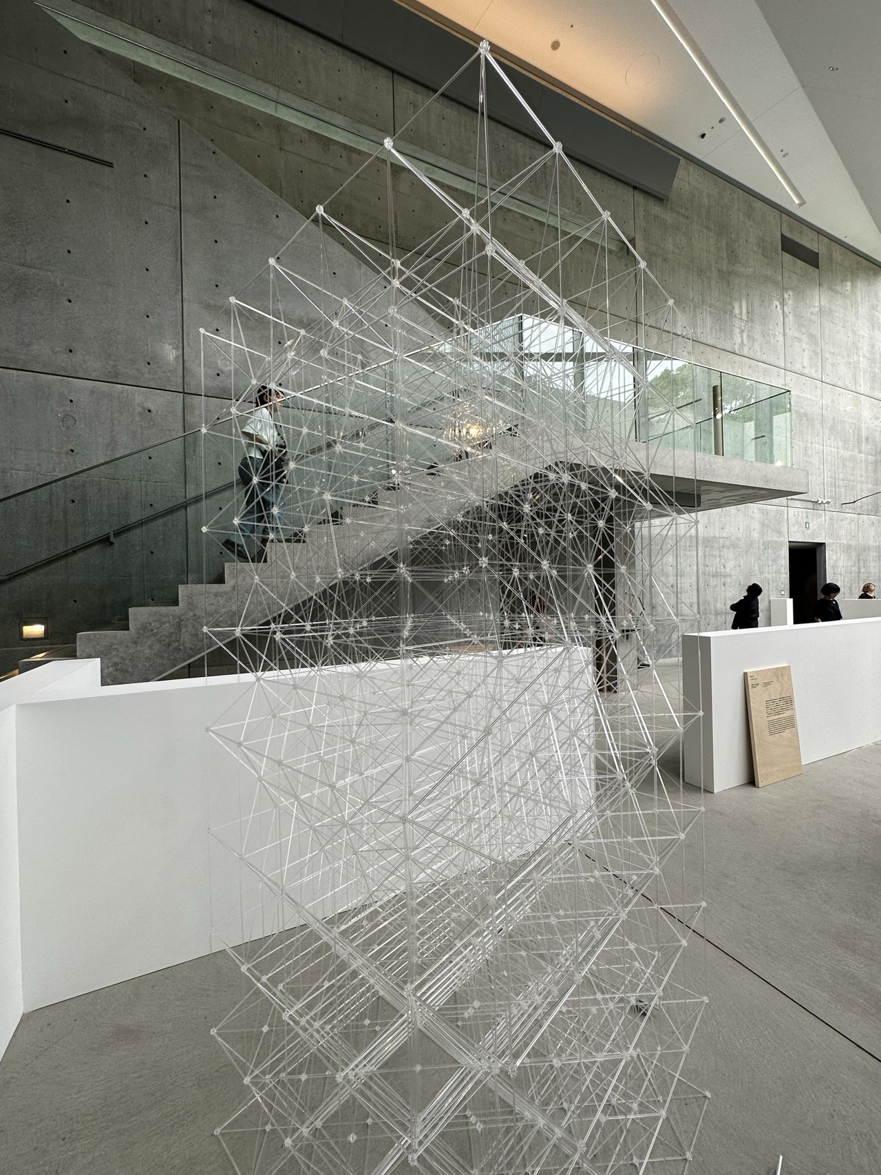 1mi5e224x94jzpktcD690.jpg?proc