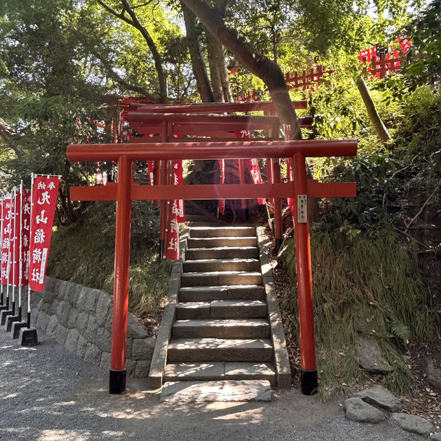 The Soul of Kamakura: A Solo Visit to Tsurugaoka Hachimangu Shrine ⛩️