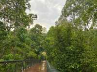 Dipterocarp Walk at The Canopy, Taman Botani Putrajaya – A Nature Escape Above the Trees