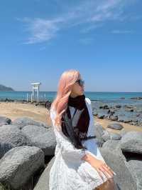 ✨ A Day Trip to Itoshima, Fukuoka