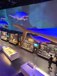 🐬 Tianjin Haichang Polar Ocean Park