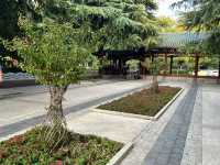 🕰🌳 Zhengzhou People’s Park — The City’s Living Square