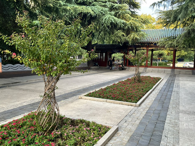 🕰🌳 Zhengzhou People’s Park — The City’s Living Square