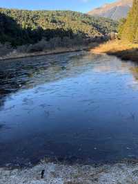 Nelson Lakes National Park ๐๏ธ