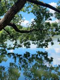 Whispers from the Water: The Soul of West Lake