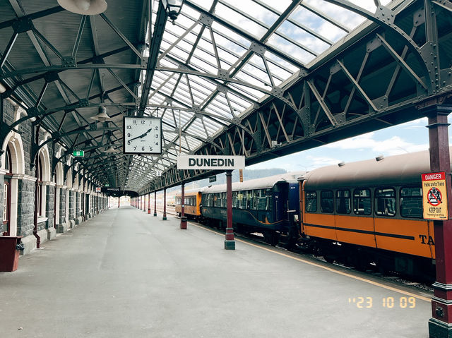 紐西蘭旅遊景點—但尼丁鐵路 🚉