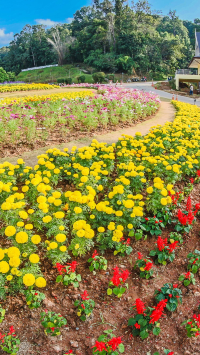 เที่ยวสวนสิริกิติ์