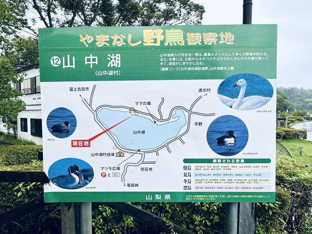 🏞「當富士山倒映在湖中，時間彷彿靜止。」