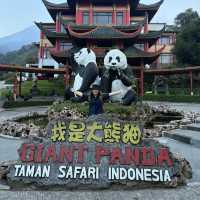 ✈️🌿 5D4N Jakarta–Bogor Adventure