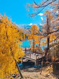 🍂 Autumn in Western Sichuan – Where Nature Meets Tibetan Spirit 🍂