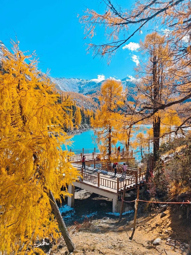 🍂 Autumn in Western Sichuan – Where Nature Meets Tibetan Spirit 🍂