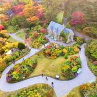 SUMMER MINI TOUR – Nami Island + Garden of Morning Calm (Day Trip from Seoul)