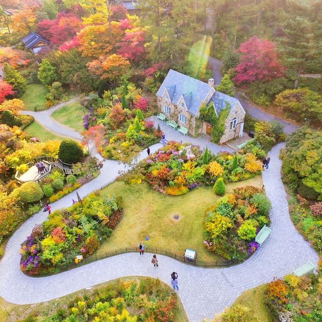 SUMMER MINI TOUR – Nami Island + Garden of Morning Calm (Day Trip from Seoul) SUMMER MINI TOUR – Nami Island + Garden of Morning Calm (Day Trip from Seoul)