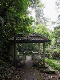 Hiking Cameron Highlands: Trails, Waterfalls & Panoramic Views