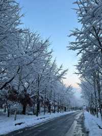 ❄️ 이천 겨울에 가야 하는 이유 ✨