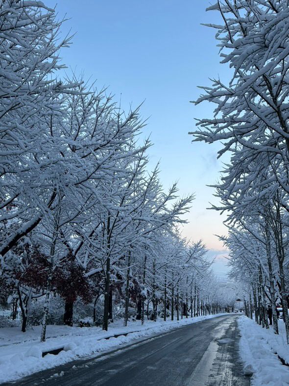 ❄️ 이천 겨울에 가야 하는 이유 ✨