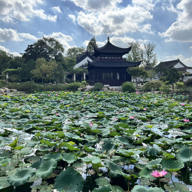 🚶‍♀️ Walking & Boating the Grand Canal (大运河) in Suzhou