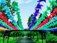 上海🇨🇳東平國家森林公園