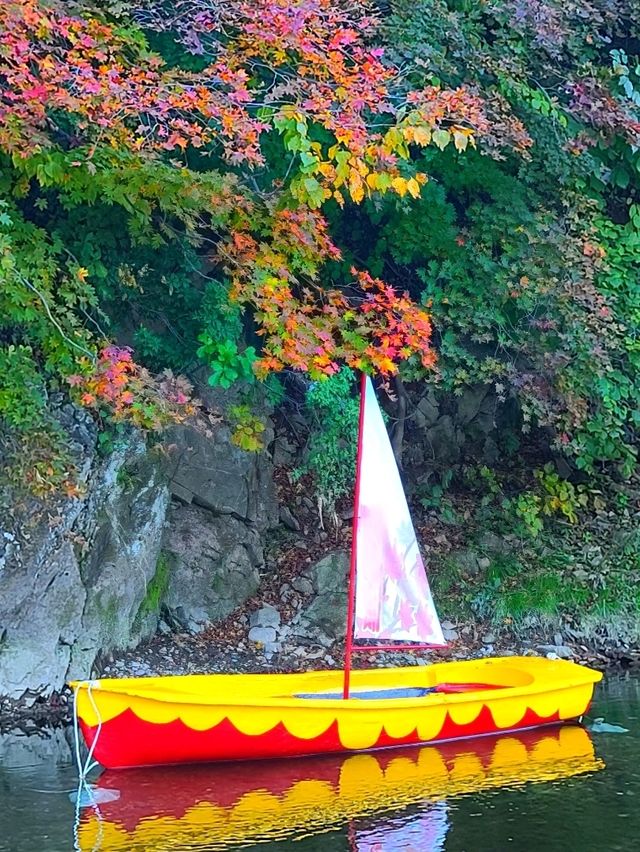 태백 철암🧡단풍숲에 갇힌 행복한 하루