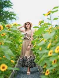เที่ยวชมดอกไม้ที่ สวนลุงเวศน์🌻