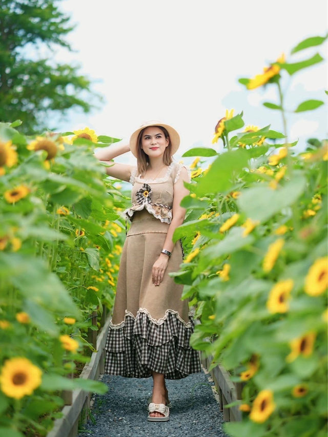 เที่ยวชมดอกไม้ที่ สวนลุงเวศน์🌻