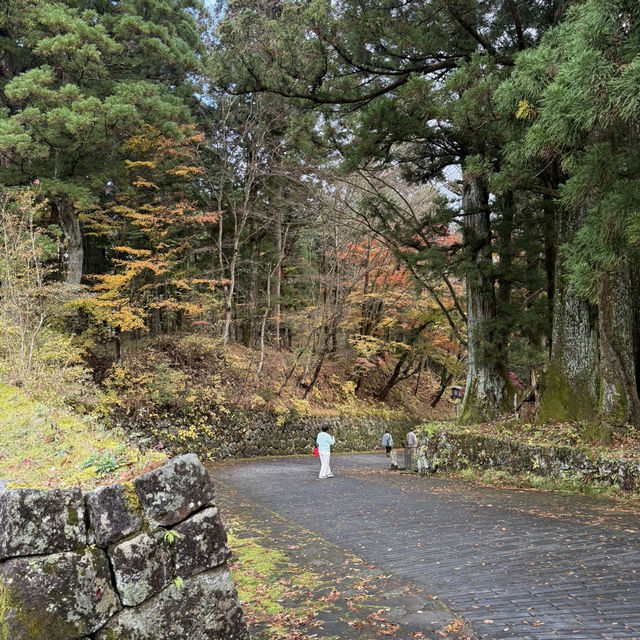 Shinkyō Bridge - Nikko ⛩️🌉