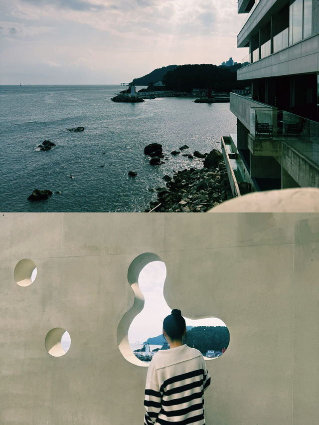 부산 바다를 품은 코랄라니 카페, 파도와 함께한 감성 휴식