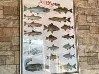 ๐ฅ ํฐํค ์ด์คํ๋ถ ์ฌํ ์ค ๊ผญ ๋ค๋ฌ์ผ ํ ๊ณณ! ๋ง๋ฆฌ์ค ๊ณ ๋ฑ์ด์ผ๋ฐฅ ๋ง์ง ์ธ์ ! ๐ฅ