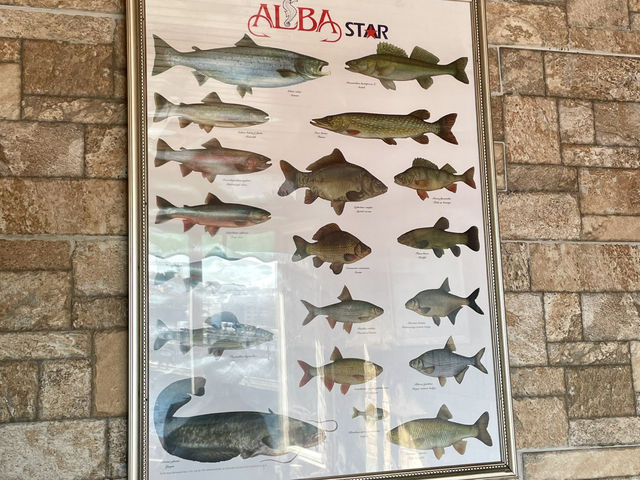 ๐ฅ ํฐํค ์ด์คํ๋ถ ์ฌํ ์ค ๊ผญ ๋ค๋ฌ์ผ ํ ๊ณณ! ๋ง๋ฆฌ์ค ๊ณ ๋ฑ์ด์ผ๋ฐฅ ๋ง์ง ์ธ์ ! ๐ฅ ๐ฅ ํฐํค ์ด์คํ๋ถ ์ฌํ ์ค ๊ผญ ๋ค๋ฌ์ผ ํ ๊ณณ! ๋ง๋ฆฌ์ค ๊ณ ๋ฑ์ด์ผ๋ฐฅ ๋ง์ง ์ธ์ ! ๐ฅ